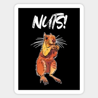 Nuts! Squirrel animal funny pun Magnet